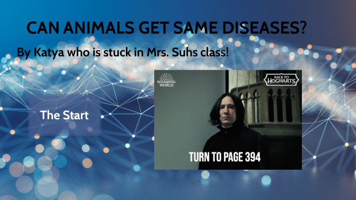 Do Animals Get The Same Diseases As Humans