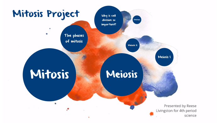 prezi presentation mitosis