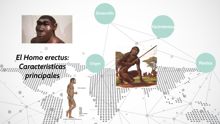 Caracteristicas del Homo erectus by Ramírez Pia on Prezi