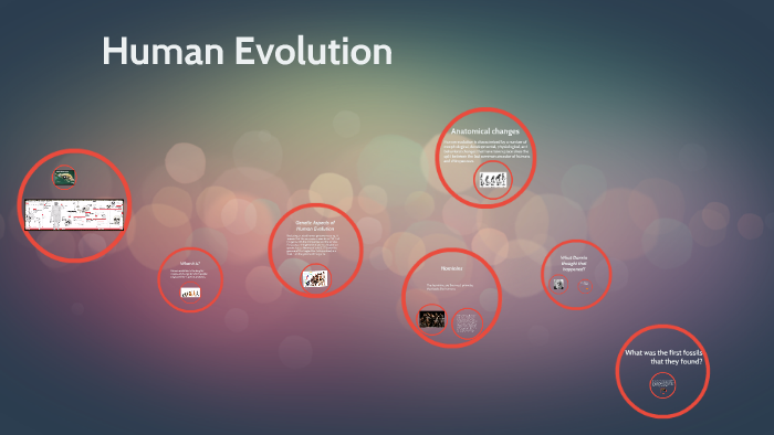 Human Evolution by juan ruiz on Prezi