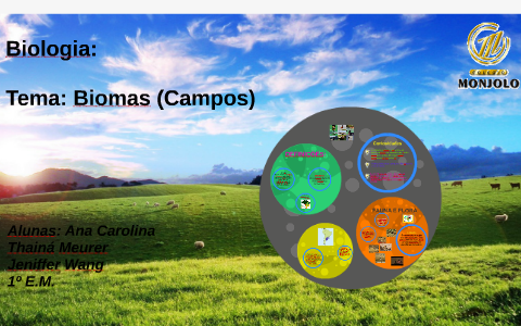 BIOMAS: by Ana Carolina F on Prezi