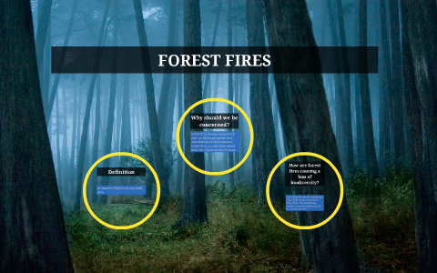 FOREST FIRES by Megan Ontiveros on Prezi