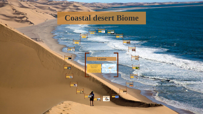 coastal-desert-biome-by-alanis-wright