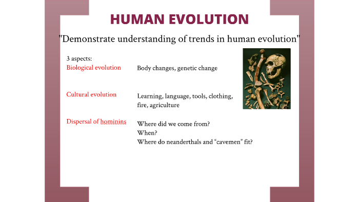 Human Evolution By Hamish Mclellan On Prezi