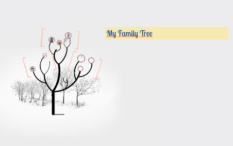 My Family Tree by Nicole Icenhour on Prezi