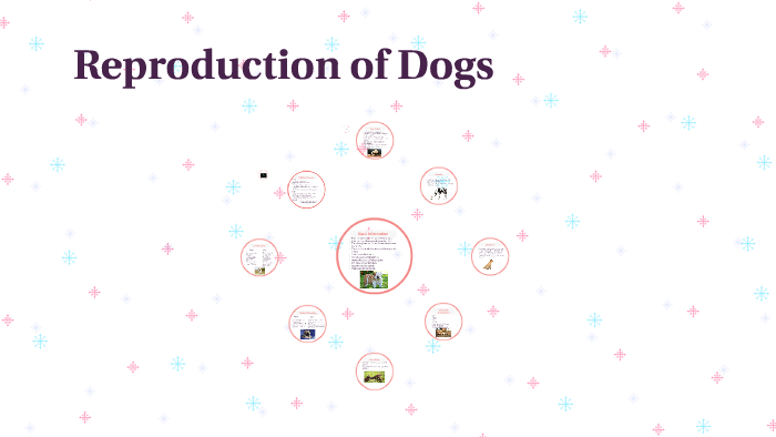 Reproduction of Dogs by Jordyn Sholes on Prezi