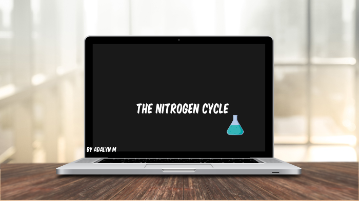 The Nitrogen Cycle by Adalyn M on Prezi