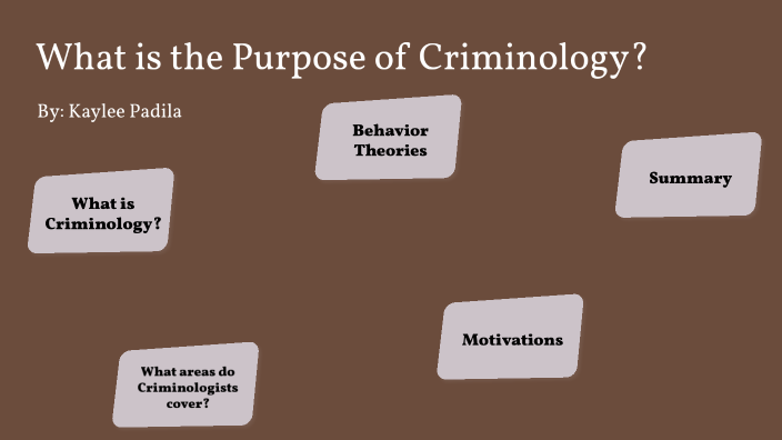 what is criminology essay brainly