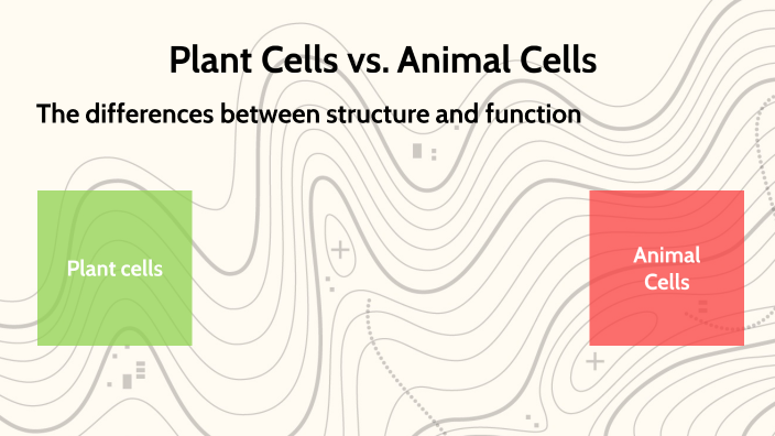 Plant Cells vs. Animal Cells by Emma McFadden on Prezi