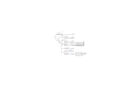 Master Cladogram by Desmarie Stewart on Prezi