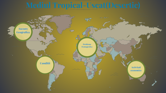 leader Colonial Signal Mediul Tropical-Uscat(Desertic) by Rzvn on Prezi Next