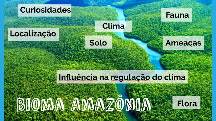 Bioma Amazônia by Alessandro Parizotto on Prezi