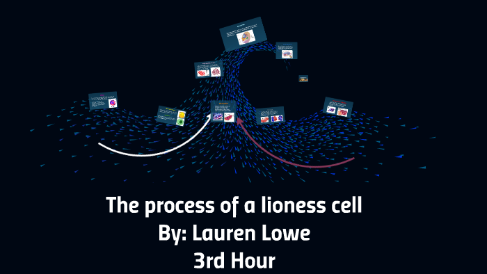 The process of how the animal cells work by Lauren Lowe on Prezi