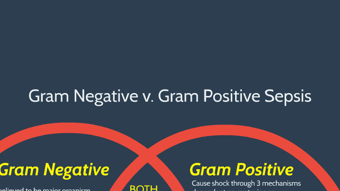 Gram Negative v. Gram Positive Sepsis by Kaylee VanDommelen on Prezi