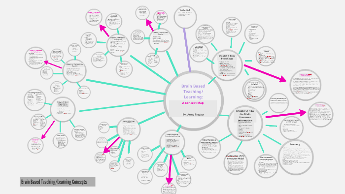 Brain Based Teaching Learning A Concept Map Anne Nestor