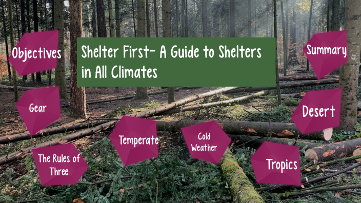 Shelter First How To Build A Lean To Shelter By Kevin Gordon On Prezi 4226