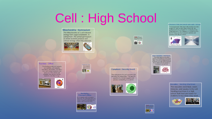 A Cell Can Be Compared To A High School by Cali Schmitz on Prezi