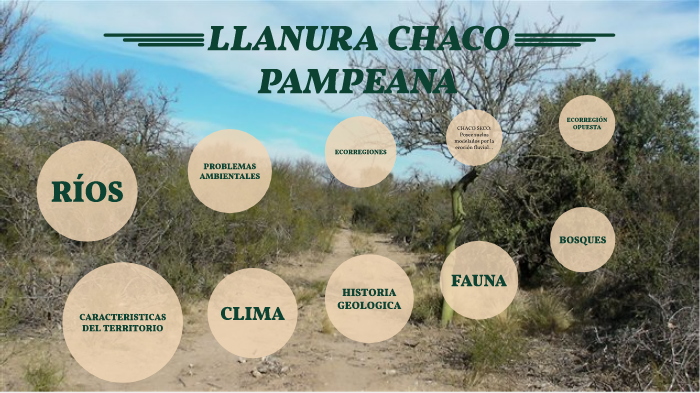 llanura chaco pampeana by Sofia P on Prezi