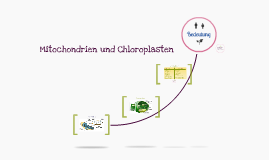 Mitochondrien Und Chloroplasten By Lara Kracheel