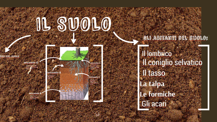 IL SUOLO by natalia furlati on Prezi