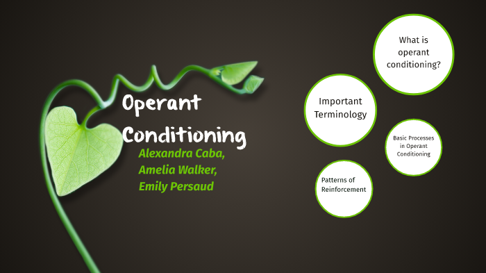 Operant Conditioning by Alexandra Caba on Prezi