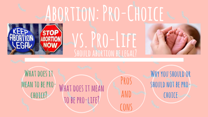 pro life vs pro choice essays