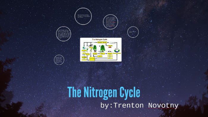 nitrogen cycle by trenton novotny on Prezi