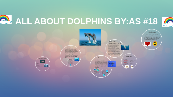 ALL ABOUT DOLPHINS by on Prezi