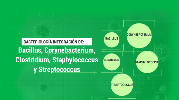 Bacteriología Integración: Bacillus, Corynebacterium, Clostridium 