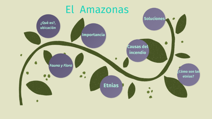 El Amazonas by Gabriela Marcora on Prezi