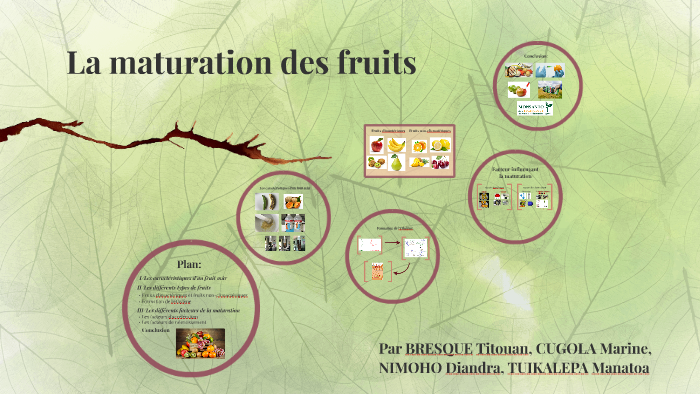 La maturation des fruits by Manatoa Tuiakelpa on Prezi