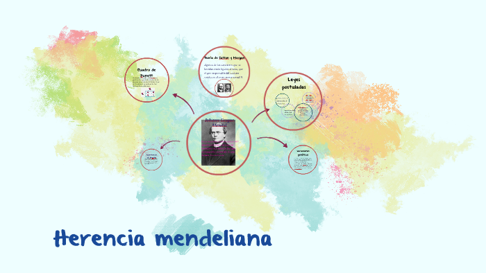 Herencia Mendeliana By Jazmin Contreras