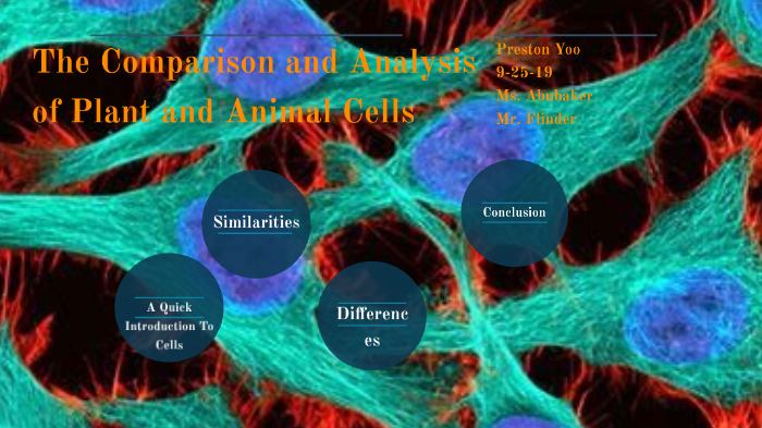 The Comparison and Analysis of Plant and Animal Cells by Preston Yoo on ...