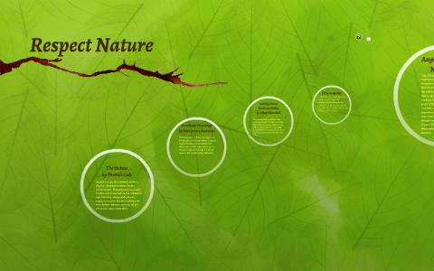 respect nature essay