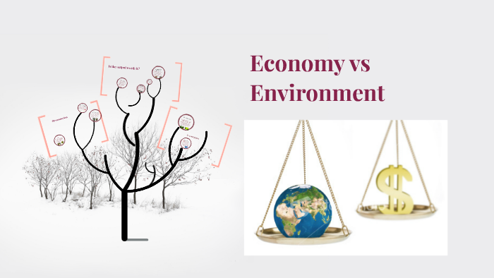 economy vs environment essay