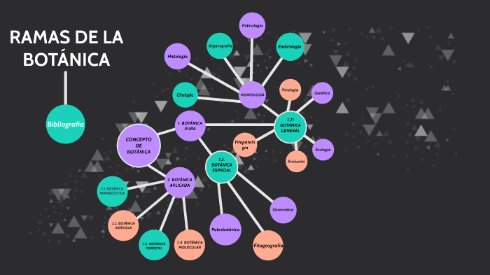 Ramas De La Botánica By Elena García On Prezi