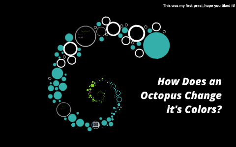 How does an octopus change it's colors? by zach magnuson on Prezi