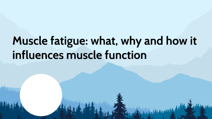 what is hypothesis 1 for why muscles fatigue