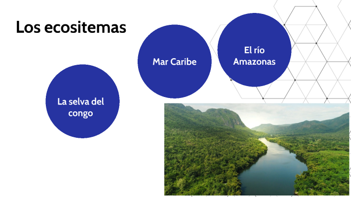 Trabajo los ecosistemas by Miriam Sánchez Ortiz on Prezi