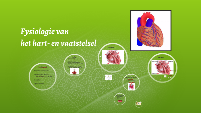 V6 Fysiologie van het hart- en vaatstelsel by Brechtje Anthonissen on Prezi