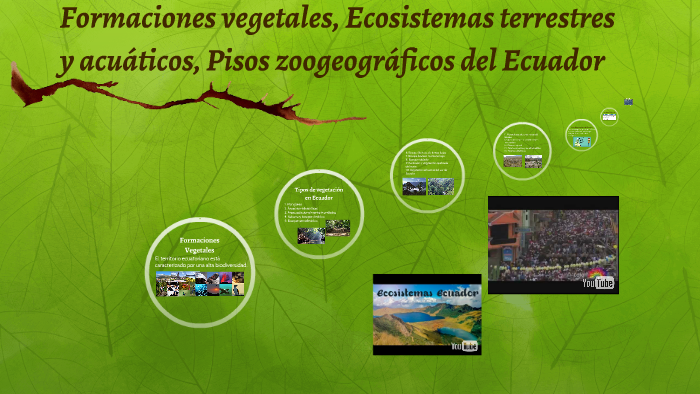Formaciones Vegetales Ecosistemas Terrestres Y Acuaticos P By