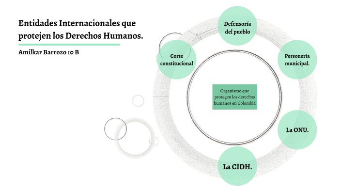 ORGANISMOS NACIONALES E INTERNACIONALES QUE PROTEGEN LOS DERECHOS ...