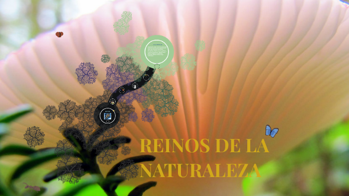 REINOS DE LA NATURALEZA by Mariana Alvarez on Prezi