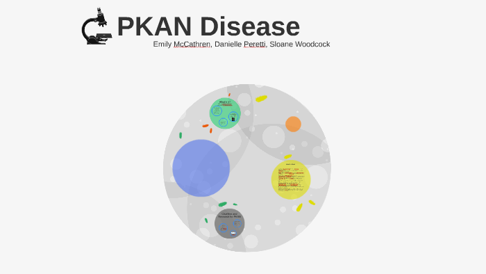 pkan-disease-by-danielle-peretti