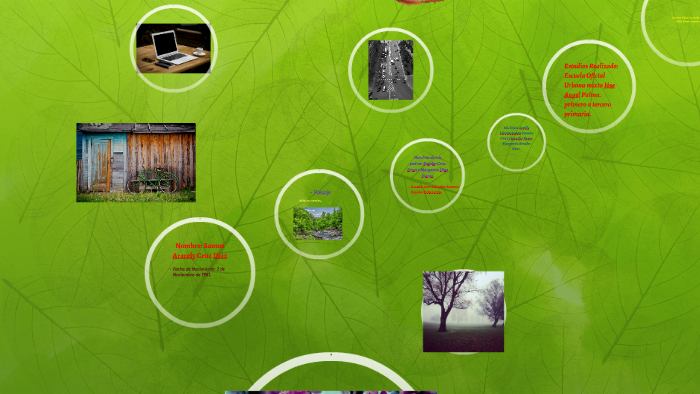 Proyecto de vida by Aracely Cruz on Prezi