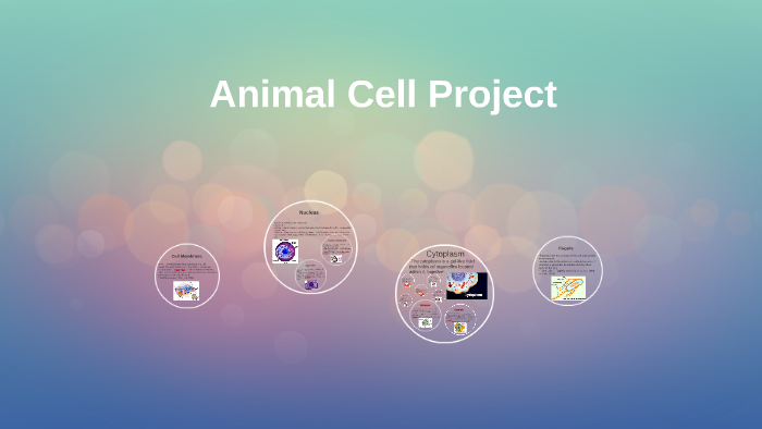 Animal Cell Project by Corey Adkins on Prezi