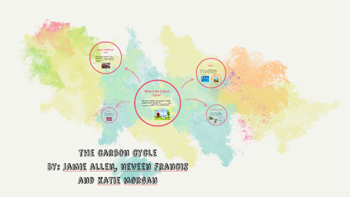 the carbon cycle by Kathleen Morgan on Prezi
