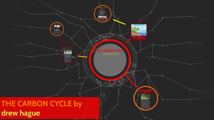 The Carbon Cycle by Drew Hague on Prezi