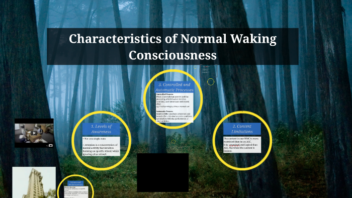 Characteristics of Normal Waking Consciousness by Sarah Mackenzie on Prezi