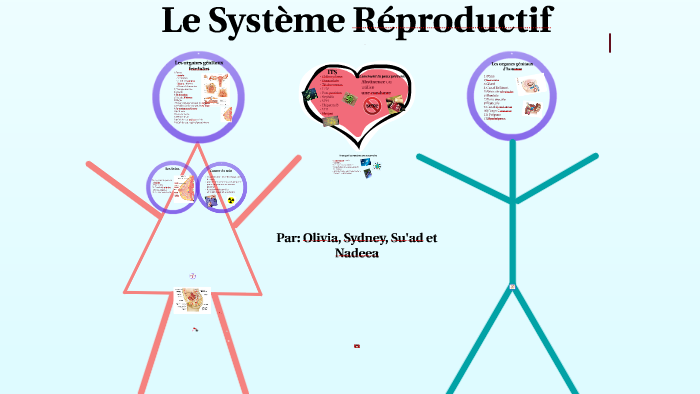 La Système Réproductif by Nadeea Rahim on Prezi